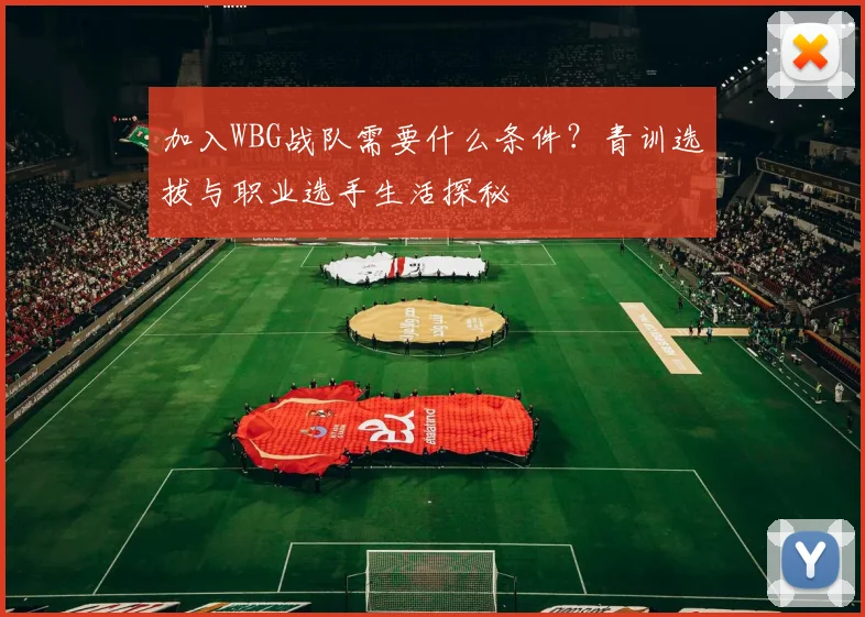 加入WBG战队需要什么条件?青训选拔与职业选手生活探秘