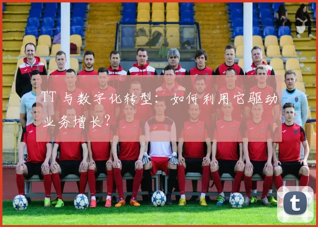 TT 与数字化转型：如何利用它驱动业务增长？
