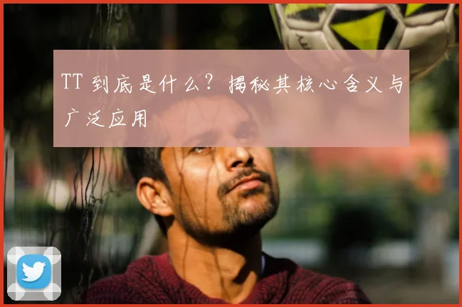 TT 到底是什么？揭秘其核心含义与广泛应用